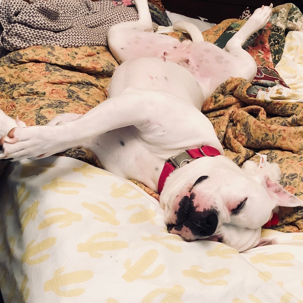 Meet your Posher, Suzie